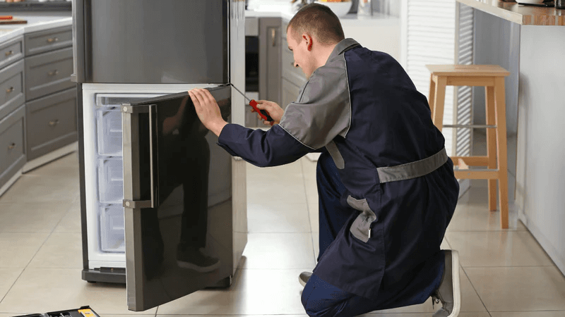 Fridge light replacement